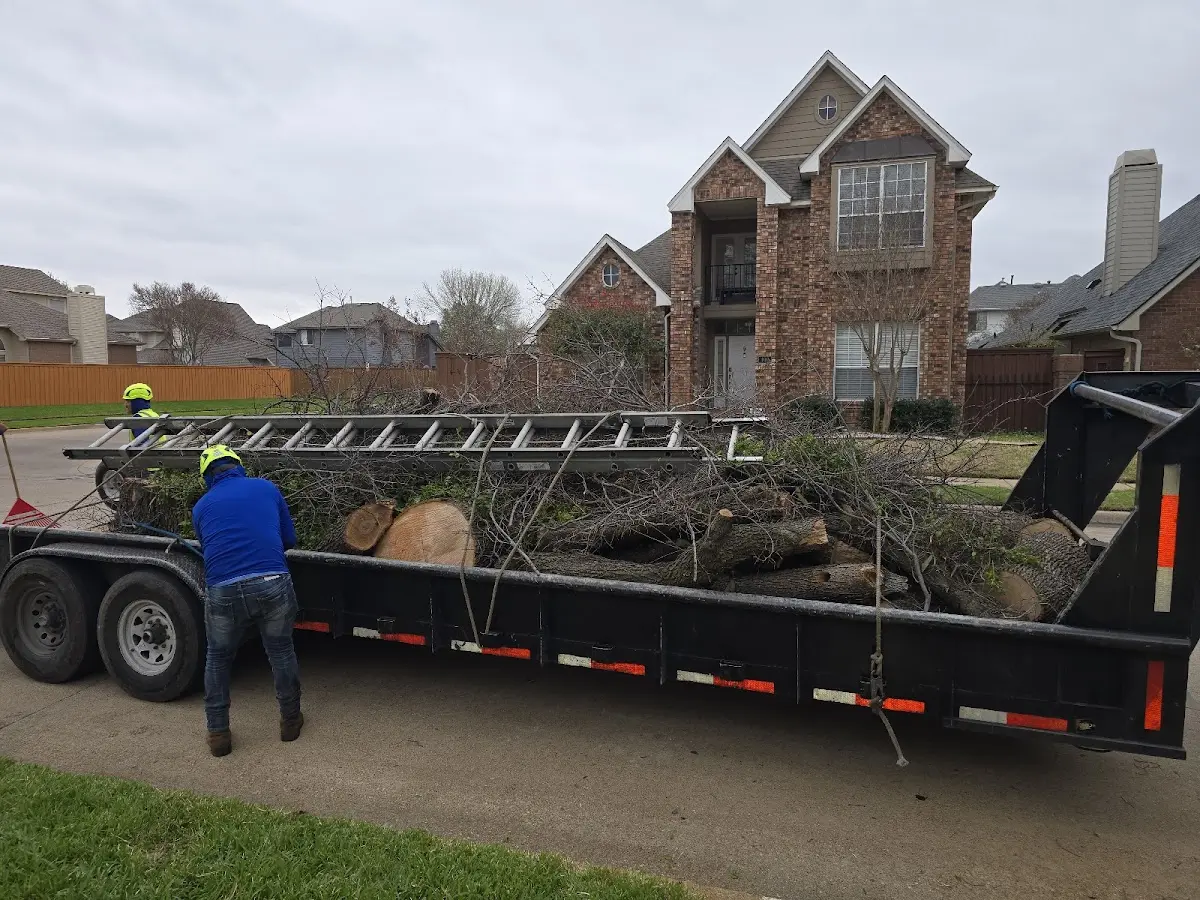 Expert Tree Fertilization with proper safety equipment in Meadowlands